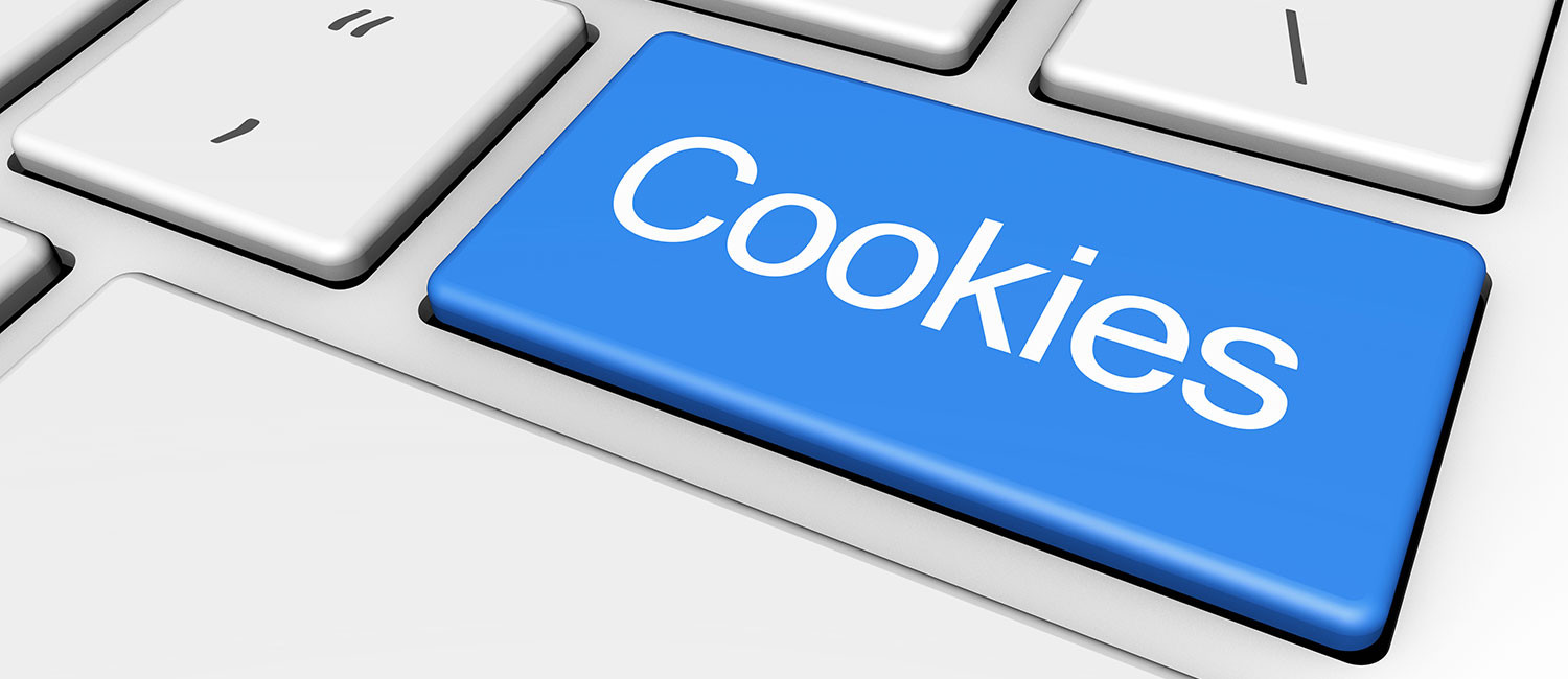 Website Cookie Policy For Sky Riders Motel